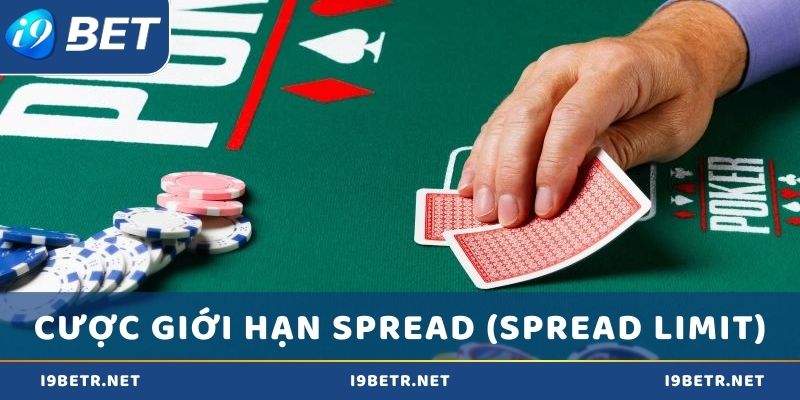 Cược giới hạn Spread (Spread Limit)